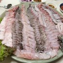민어청년 네이버블로그