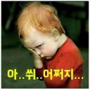 팡팡 Daum카페