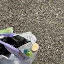 (주)그린서림 | [swim] What’s in my swim bag