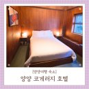 코게러지 호텔 | 양양 숙소 추천 양양 코게러지 호텔 아늑한 산장 감성숙소