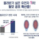 큐사랑팡팡