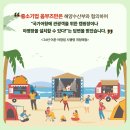 제주항구 이미지