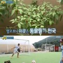 송종국축구교실 세계일보