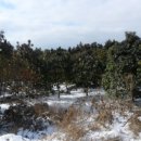 중문동-30 이미지