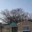 연정2리경로당 이미지