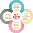 (주)힐링바이오 | 별내에스테틱 추천, 와이뷰라인 바이오포톤 관리 체험 후기