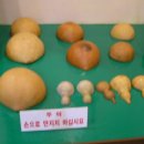 부천물박물관 이미지