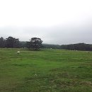 수희농장 이미지