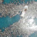 바다쪼개 이미지