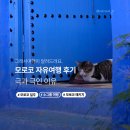 그래서여행 | 그래서여행 | 모로코 여행 후기가 갈리는 이유부터, 대안까지 정리했습니다.