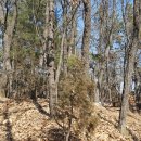 한숲하늘근린공원 이미지