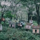 사랑마루요양원충주점 이미지