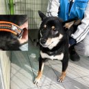 새천년대로 이미지