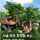 트리하우스 이미지