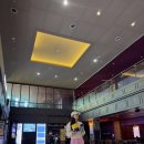 박스오피스 1위 홍제동 방화사건을 바탕으로 제작한 소방관 실관람 후기 (스포없음)