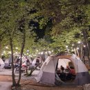 만돈만리 이미지