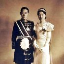 이우 뉴시스
