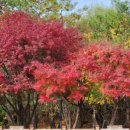 근린1공원 이미지