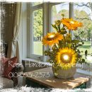 영동군치매안심센터 | 영동치매안심센터 - 치매가족힐링프로그램