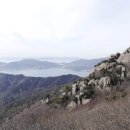 지선상사