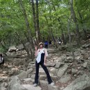 동인세탁 | 룰루레몬 부츠컷 레깅스 하이라이즈 플레어드 팬츠 2년 착용 후기 한혜진 픽 키큰녀 운동복