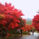 적상주유소 이미지