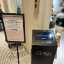 페리토 고양스타필드점 | 몬자상 고양스타필드점 내돈내산 솔직 후기