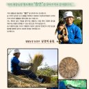 뜰안에 황토 이미지