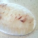 독도앞바다 | 성내동 독도앞바다 모듬회 테이크아웃 vs 쿠팡이츠