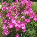 상순농장 이미지