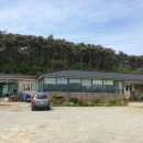 선아민박 이미지