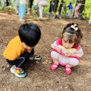 무양공원 놀이터(무양) 이미지