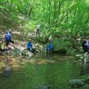 하천1리  마을회관 이미지