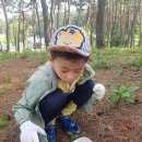 금당어린이집 이미지