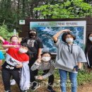 옥대초등학교 이미지