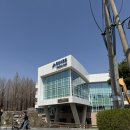 (주)순간이동 | 파주 오산리 기도원 벚꽃 명소 방문 후기｜이번주 벚꽃 반발! 사진 찍기 좋은 숨은 스팟