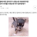 정신