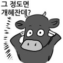 이쯤에서 샌프랑 컵스가 오타니에게 제시한 금액도 알고싶음 이미지