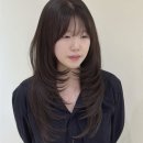 에시드헤어 | 진심으로 ‘머리 잘하는 곳’ 찾았다… 울산 삼산 ‘에시드헤어’ 솔직 후기