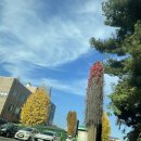 수서10단지㉵ | 수서1단지 임장 후기 - 강남권 소규모 아파트 숨은 보석. 강남입성 실거주 몸테크는 여기어때