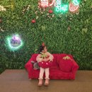 도심속에하루 | [인천/송도] 아이와 도심 속 딸기 따기 '딸기의하루' 방문 후기