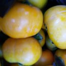 안골농장 이미지