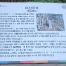 대천공원 이산표석 안내판 오류 바로잡아야 이미지