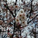 예산-59 | 제22회 예산윤봉길전국마라톤대회 하프 완주 후기, 1시간 45분 PB 달성