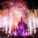 신데렐라 파크 이미지