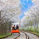 힐링랜드버스주차장 화장실 이미지