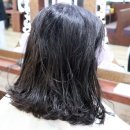 리체헤어 이미지