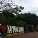 야망농장 이미지