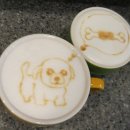 개뼈다구 이미지