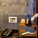 송강애견 이미지